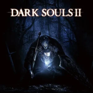 Dark Souls II: SOTFS (PS4/PS5) — Modded Save, +10 Gear, Max Items & Item Box Dark Souls II: SOTFS (PS4/PS5) — Modded Save, +10 Gear, Max Items & Item Box